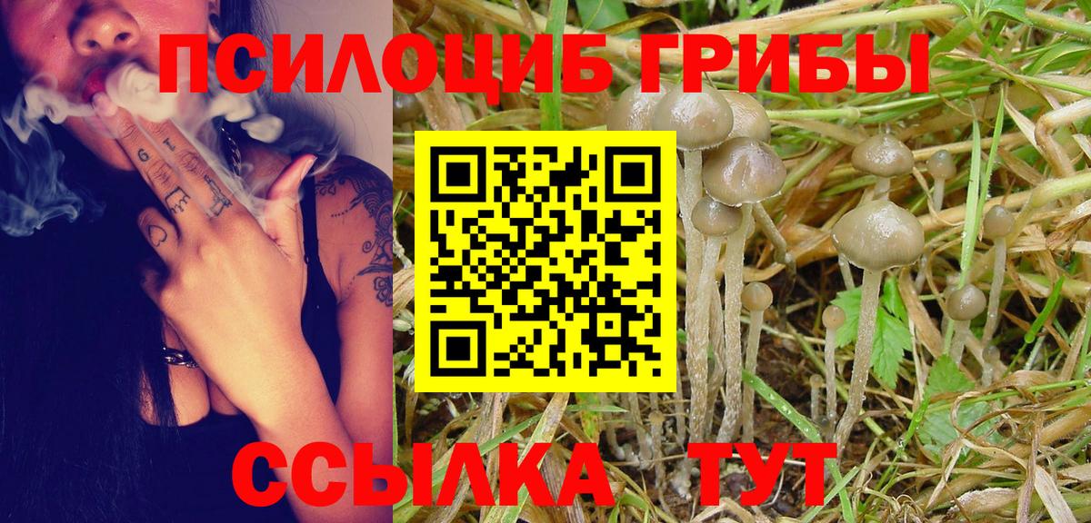 Галлюциногенные грибы Psilocybine cubensis Кимовск